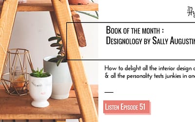 Ep 51: Designology by Sally Augustin